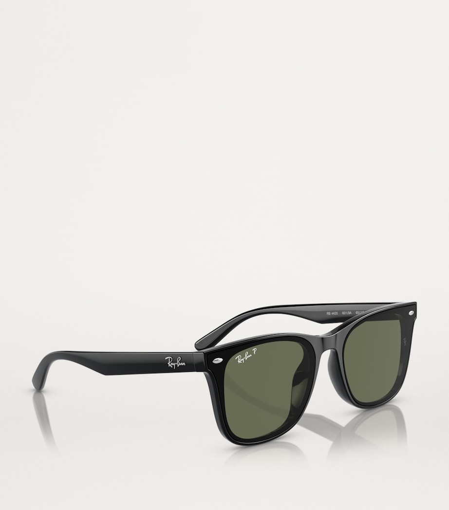 Injected RB4420 Sunglasses