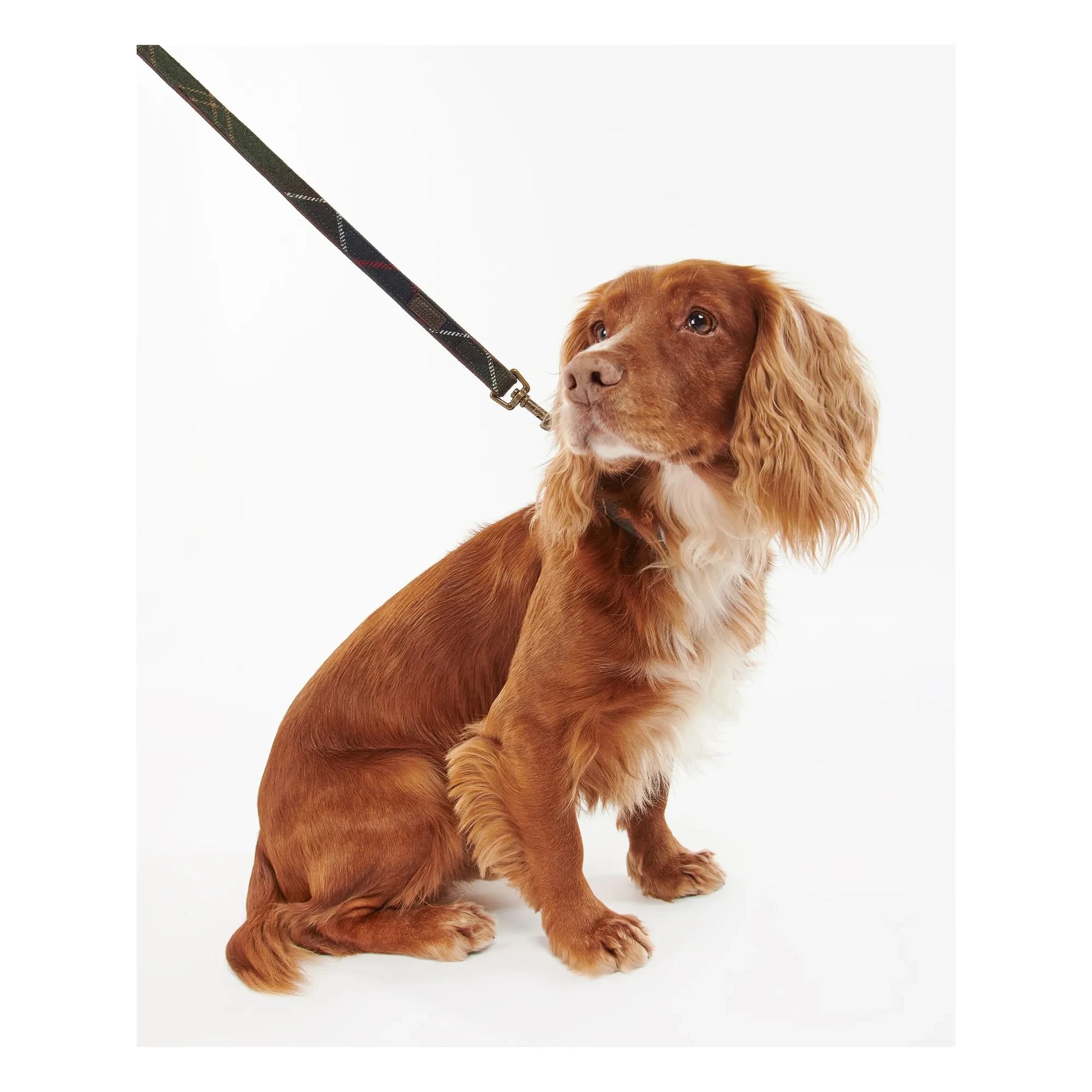 Barbour - Tartan dog leash | Taupe brown