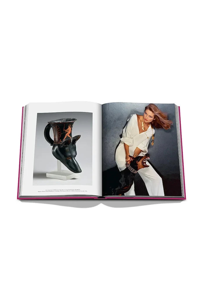 Assouline Chic Dogs by Robert Williams Kitabı, İngilizce