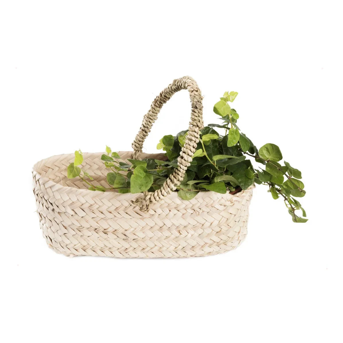 Cosydar - Doum Fruit Basket