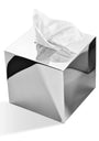 Chrome Tissue Box