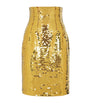 Dolce & Gabbana Multi Sequinned Mini Skirt