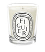 Mini Figuier Candle (70g)