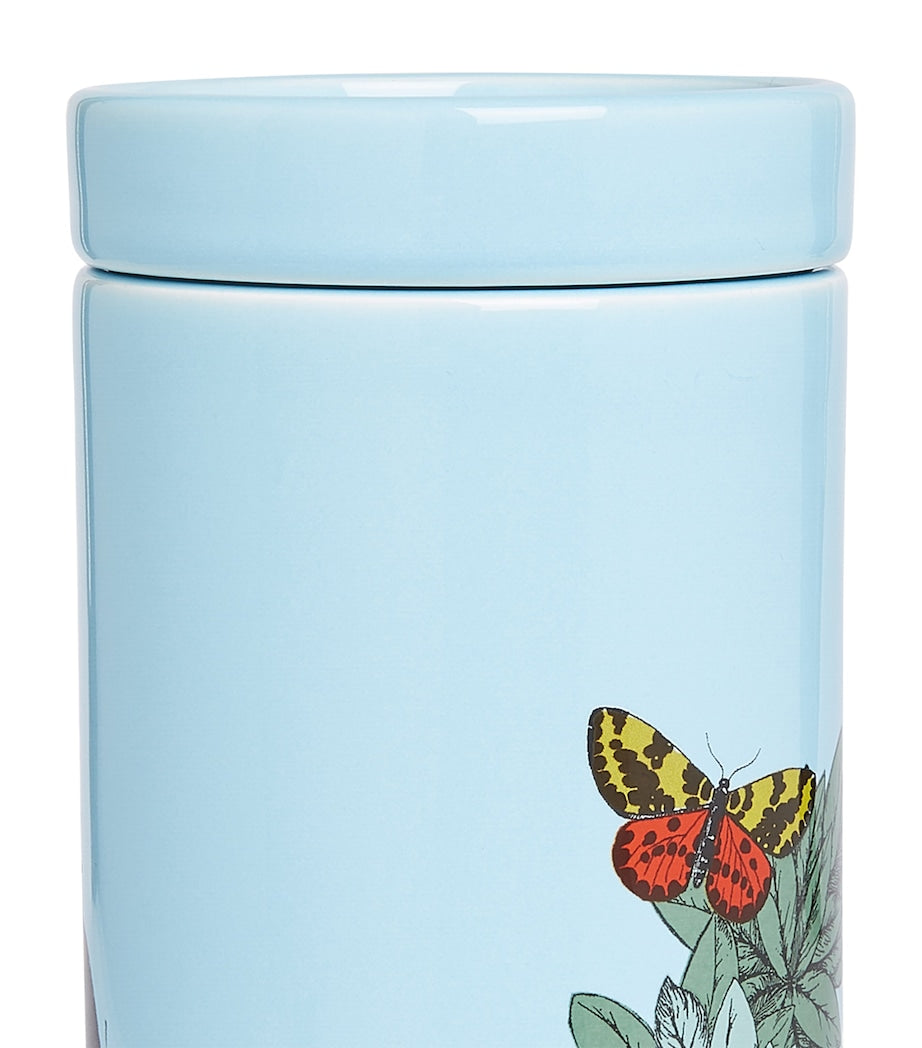 Tall Farfalle e Balaustra Candle (800g)