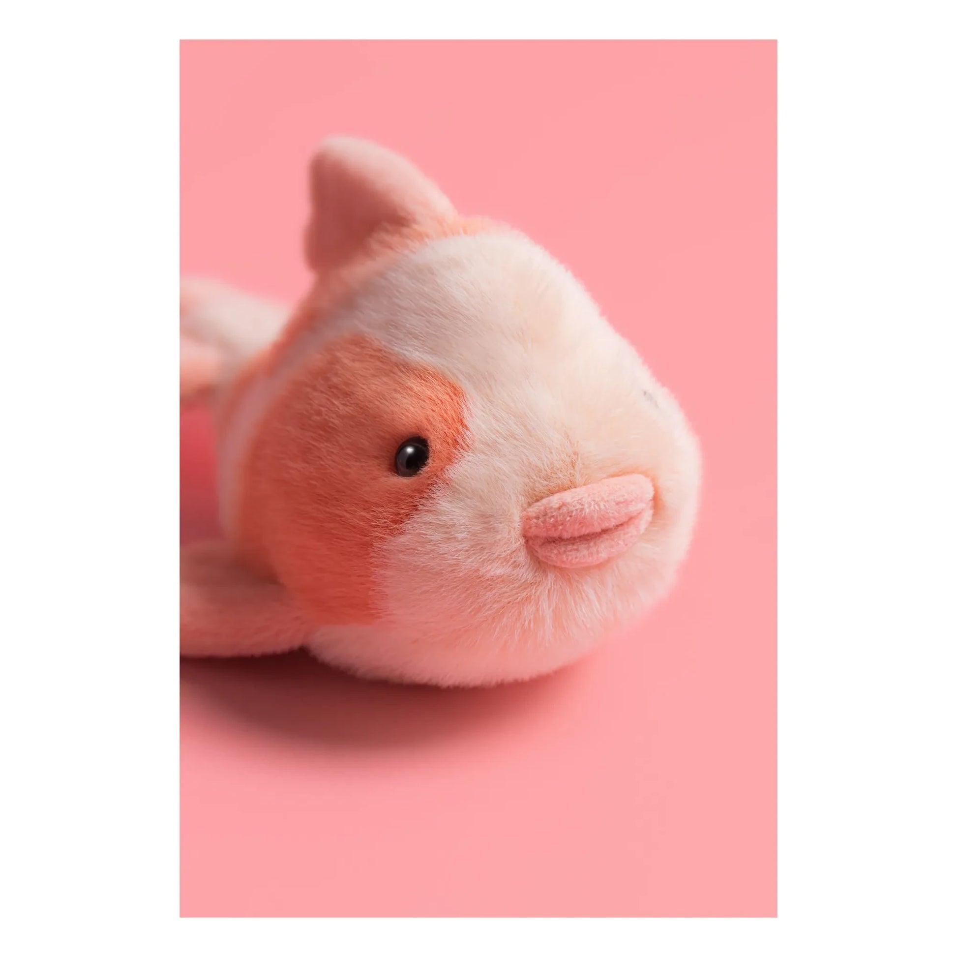 Jellycat - Carp Fancy Plush