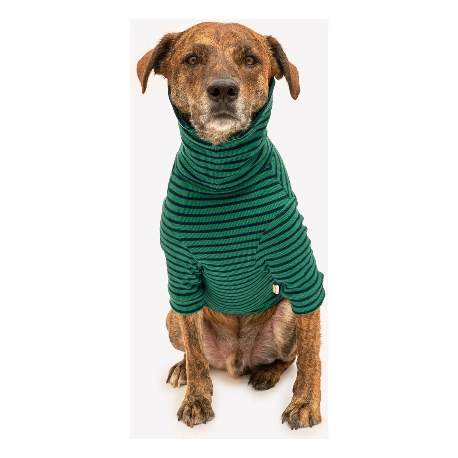 The Furry Folks - Striped sweater | Green