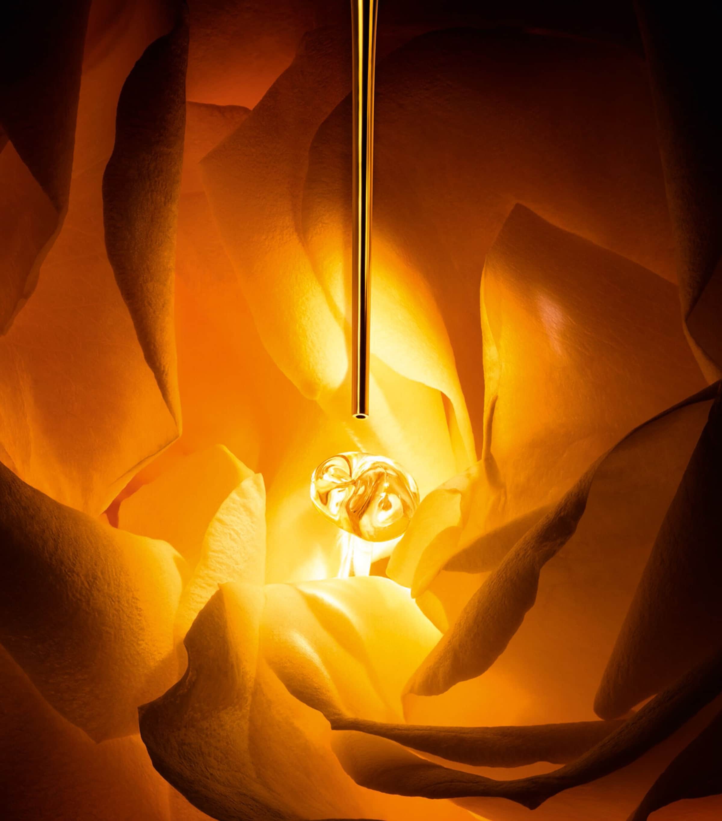 Dior Prestige Le Nectar Intégral (20ml)