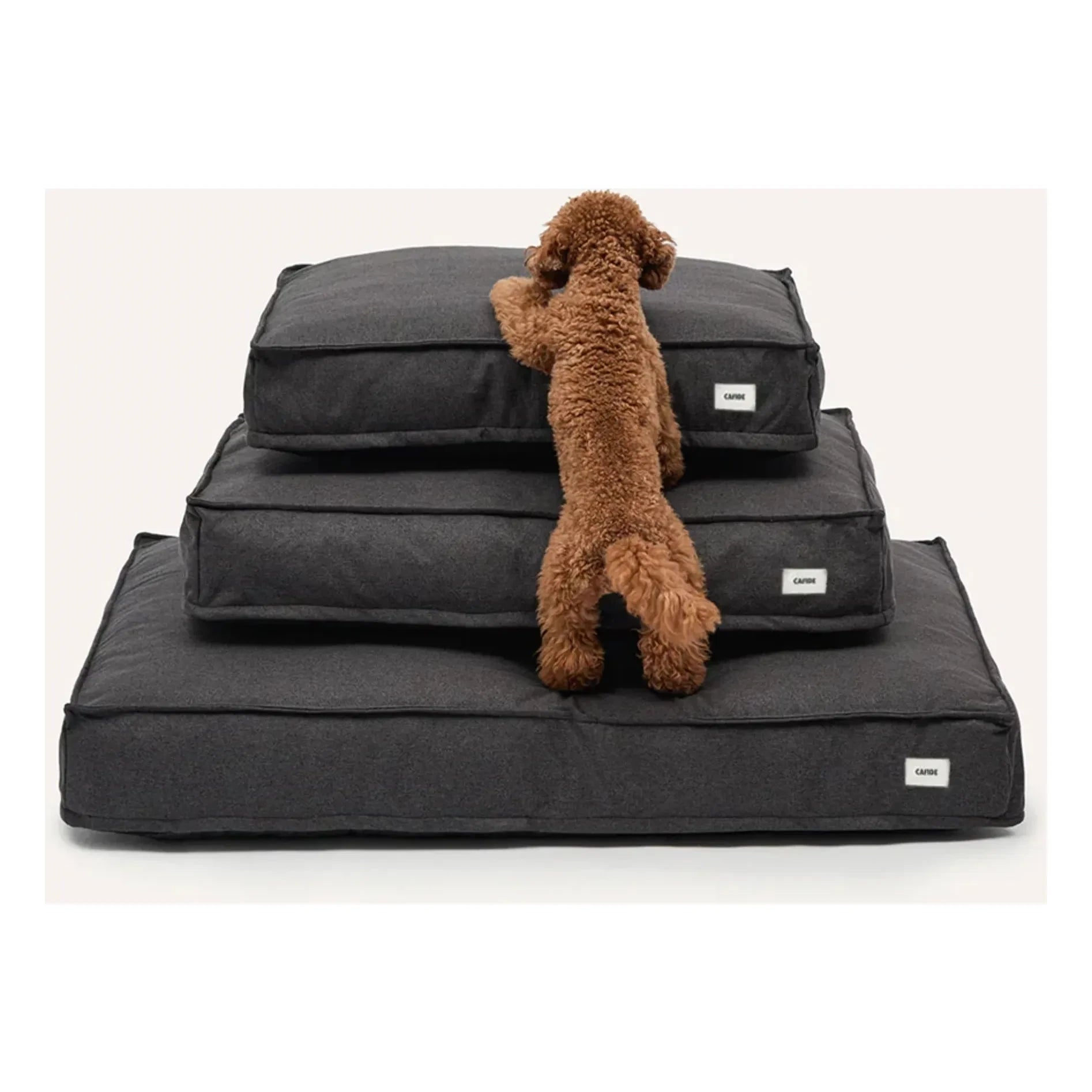 Cafide - Cuadra Dog Mattress | Black