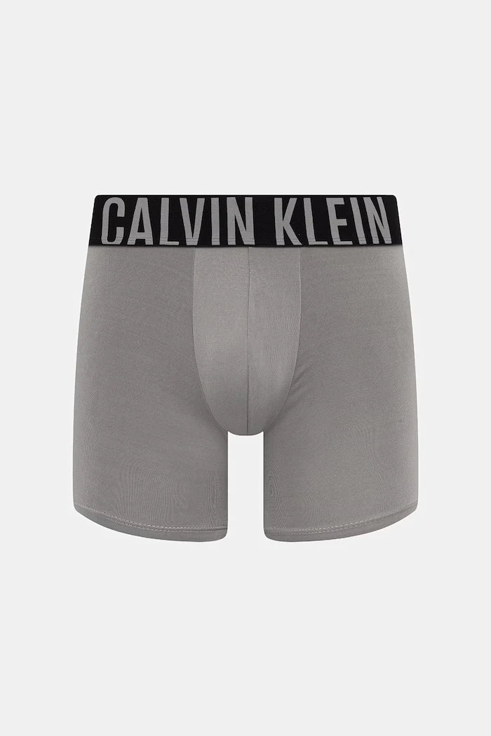 Calvin Klein Underwear erkek boxer 3’lü