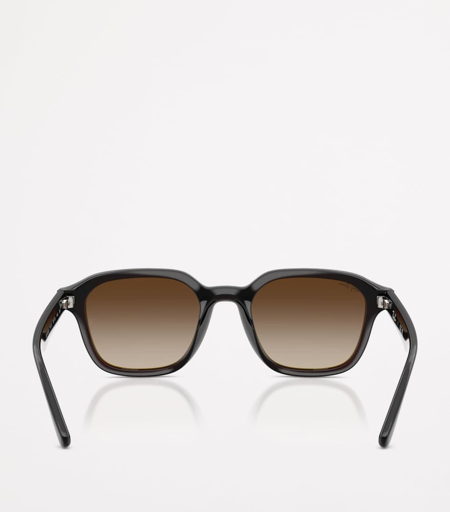 Ray-Ban Brown RB4458D Square Sunglasses