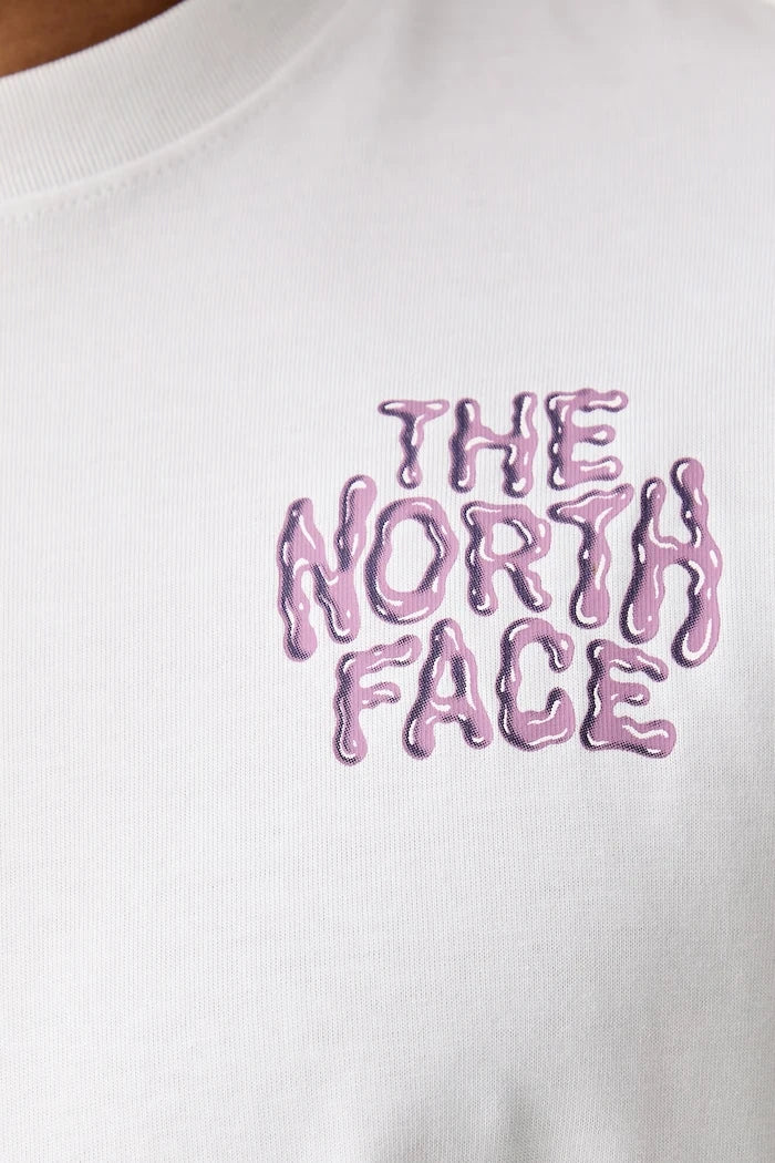 The North Face erkek pamuklu tişört DRIP LOGO