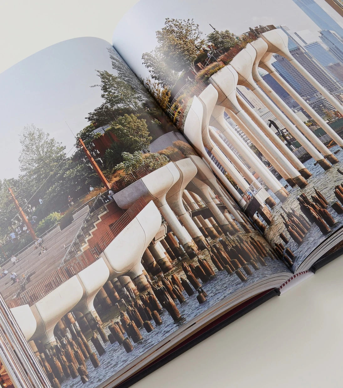 Assouline - New York Chic book