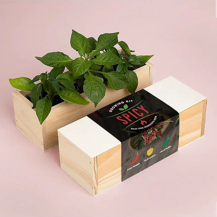 RESETEA Baharatlı Yetiştirme Seti 21 x 7,8 x 6,5 cm