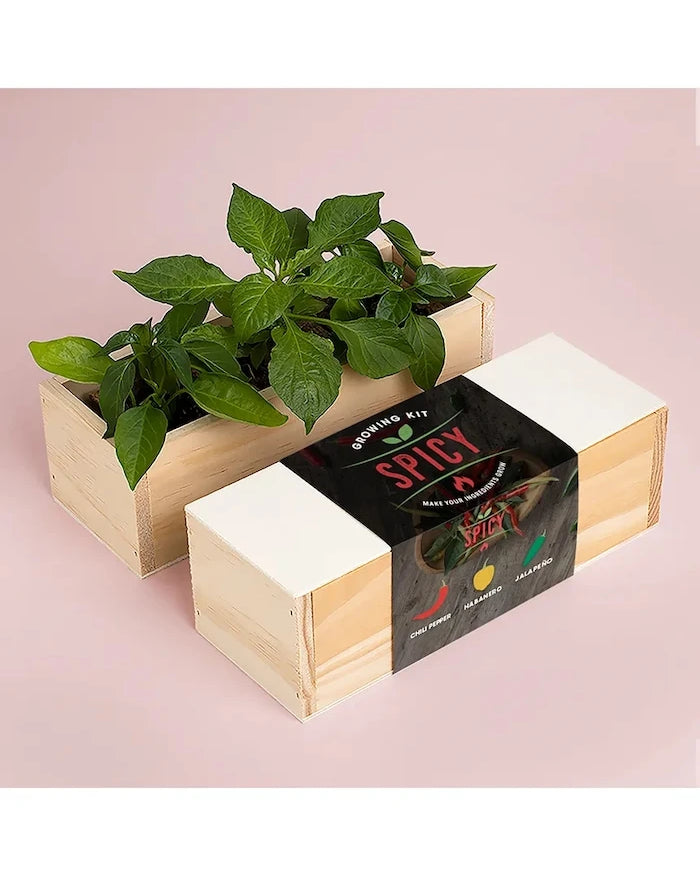 Комплект за отглеждане на растения RESETEA Spicy Growing Kit 21 x 7,8 x 6,5 cm