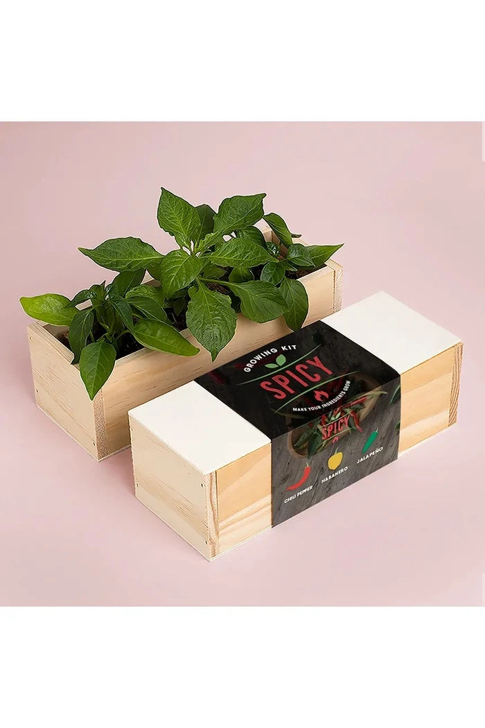 RESETEA Baharatlı Yetiştirme Seti 21 x 7,8 x 6,5 cm