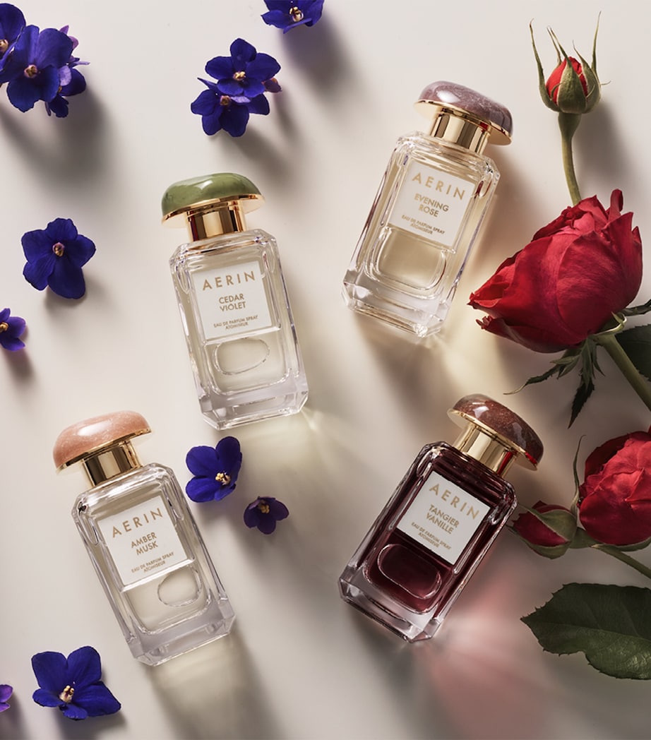 Amber Musk Eau de Parfum (50ml)