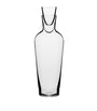 Richard Brendon x Jancis Robinson Old Wine Decanter