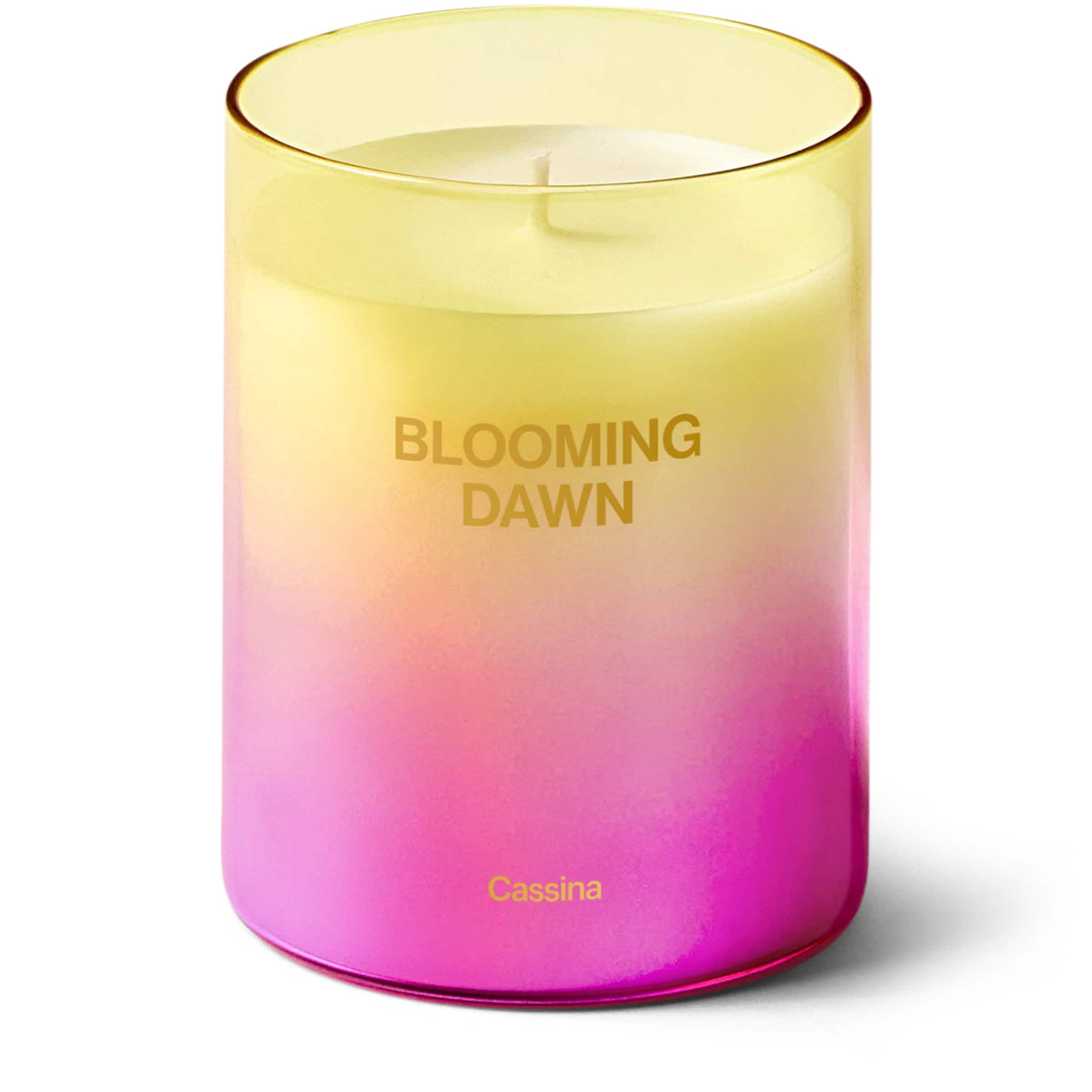 Blooming Dawn Candle (330g)