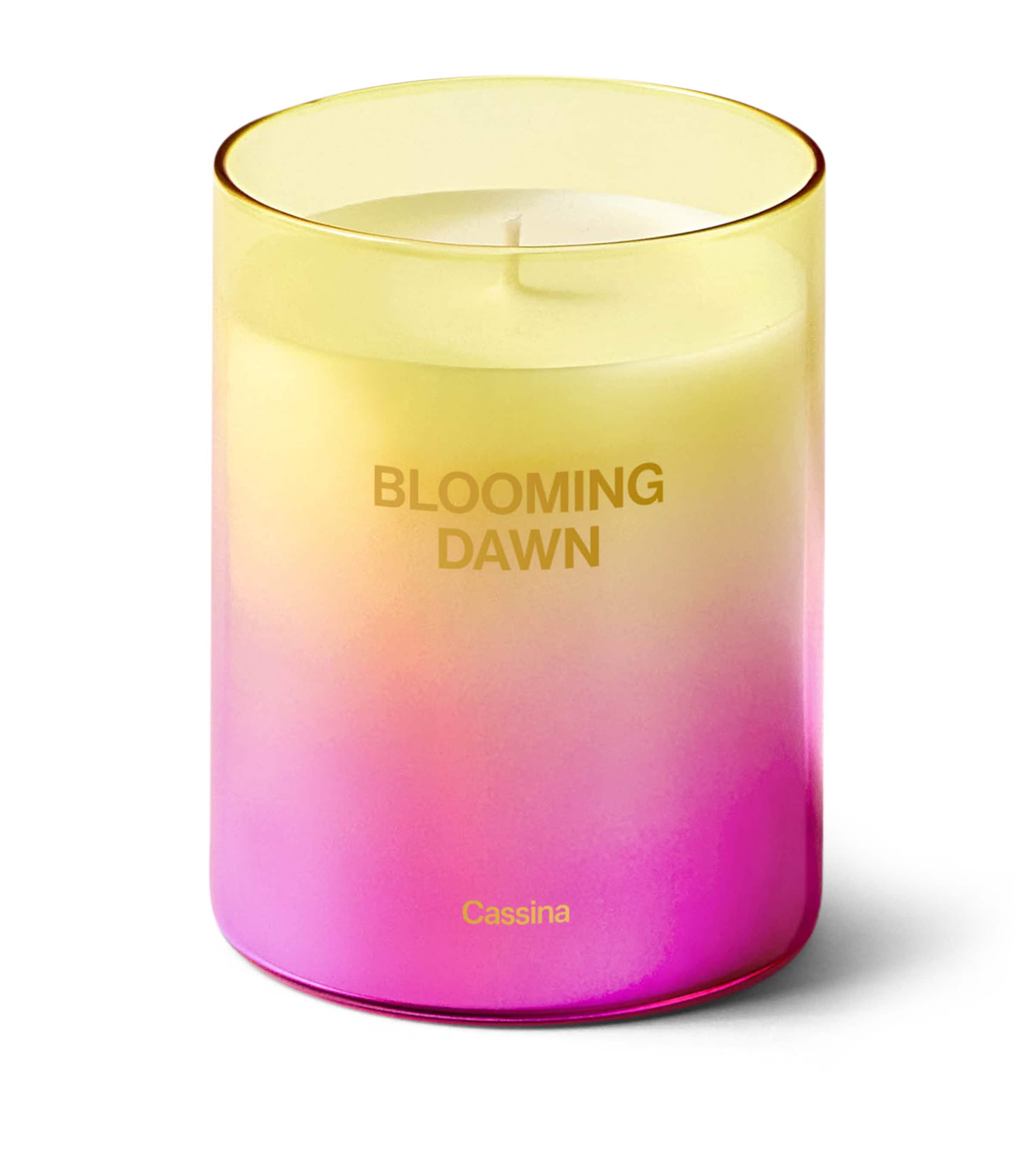 Blooming Dawn Candle (330g)