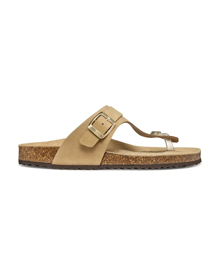 Geox D BRIONIA Kadife Terlik