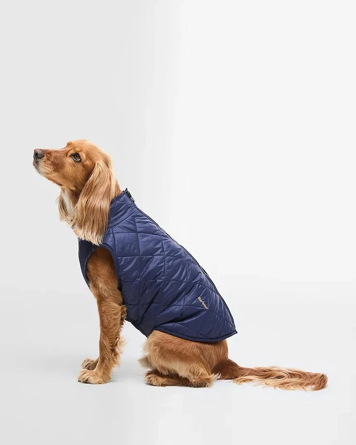 Barbour Field Çift Taraflı Köpek Montu