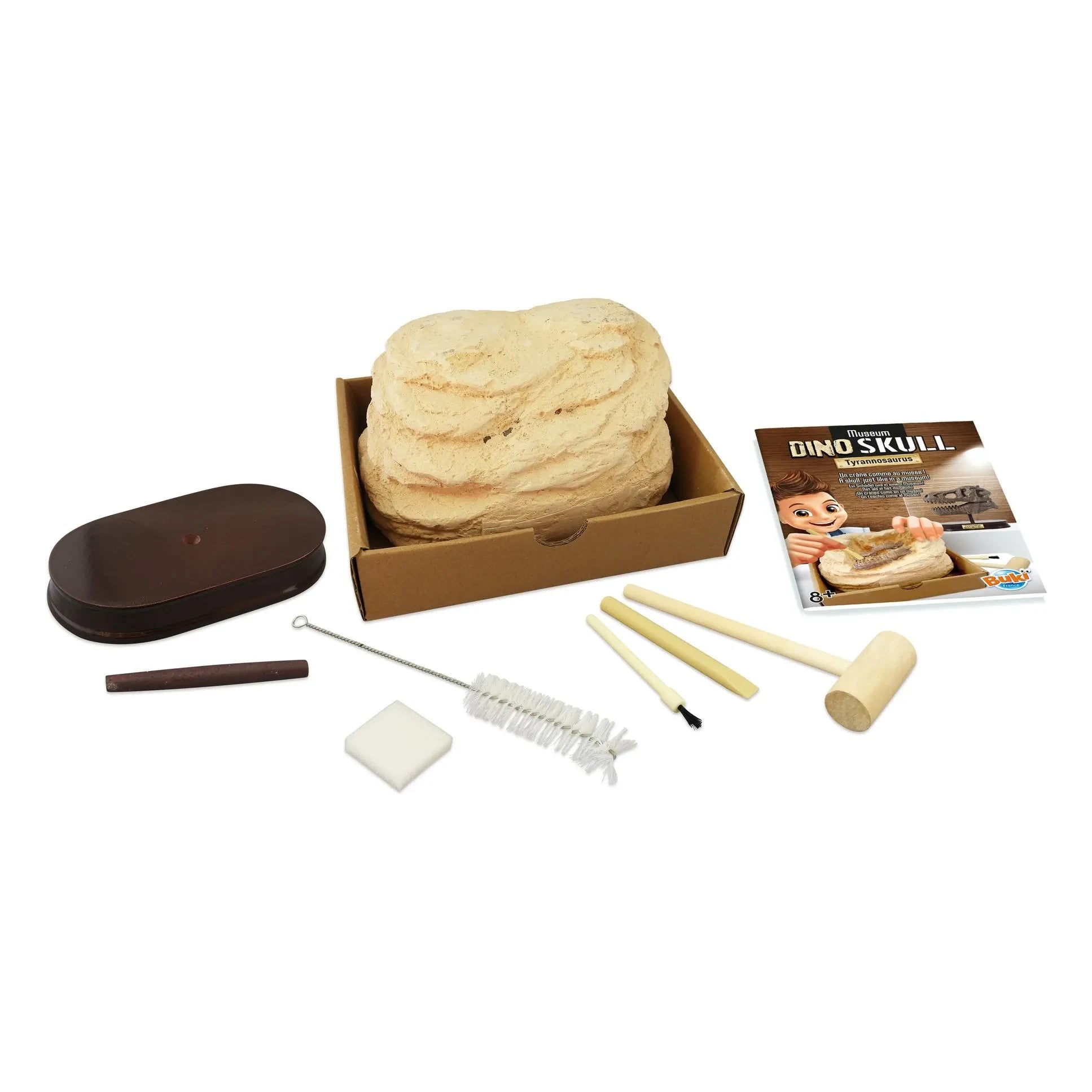 Buki - Archaeology set - Museum Dino Skull
