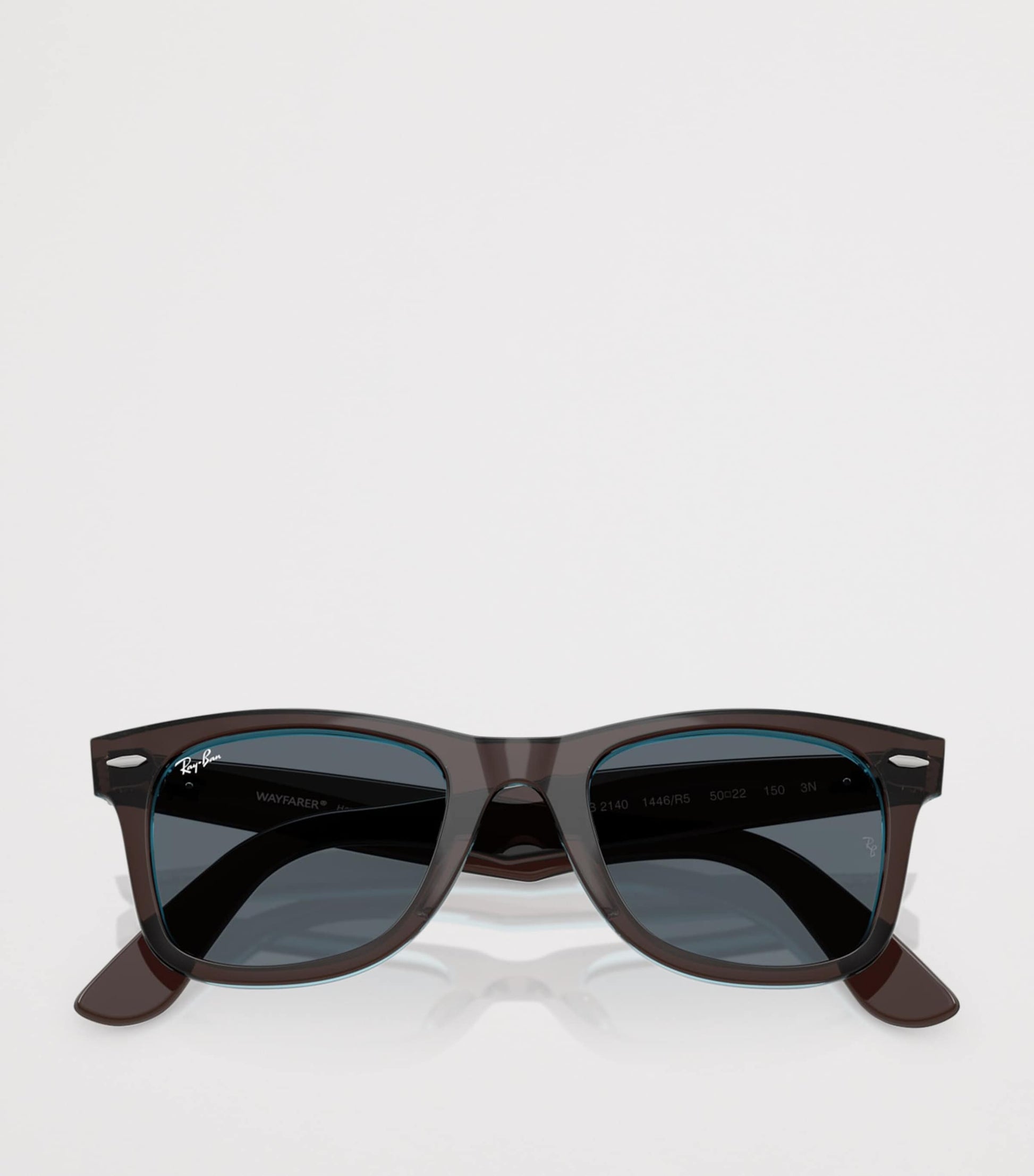 Brown Acetate Wayfarer Sunglasses