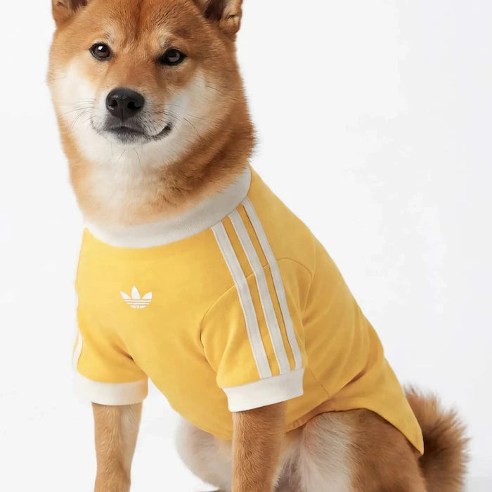 adidas Originals Evcil Hayvan Pet Cali