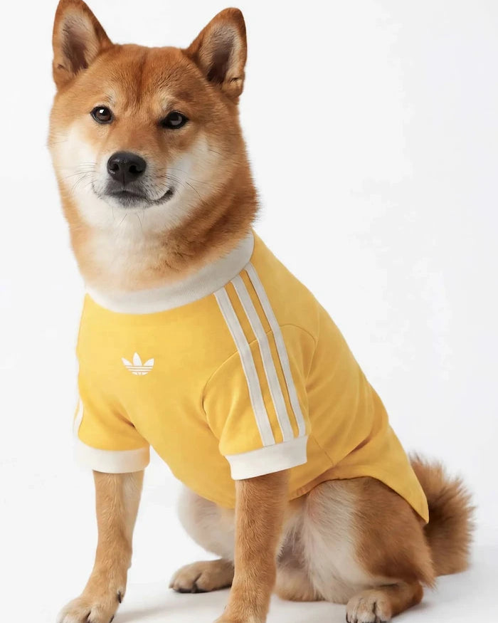 adidas Originals домашен любимец Pet Cali
