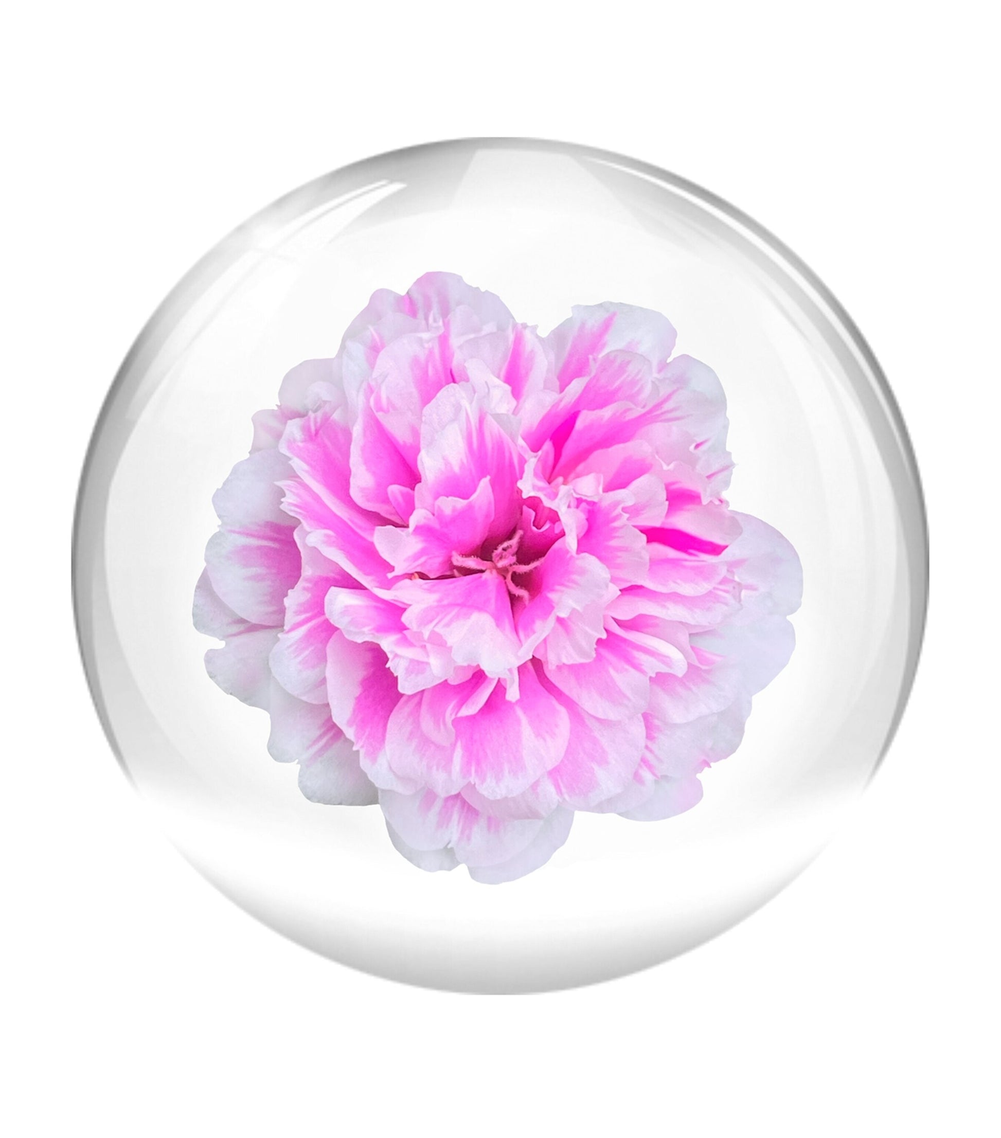 Valmont 24 Hour Light Cream (50ml)