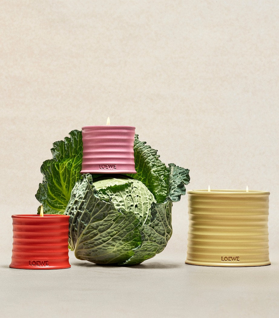 LOEWE Medium Honeysuckle Scented Candle