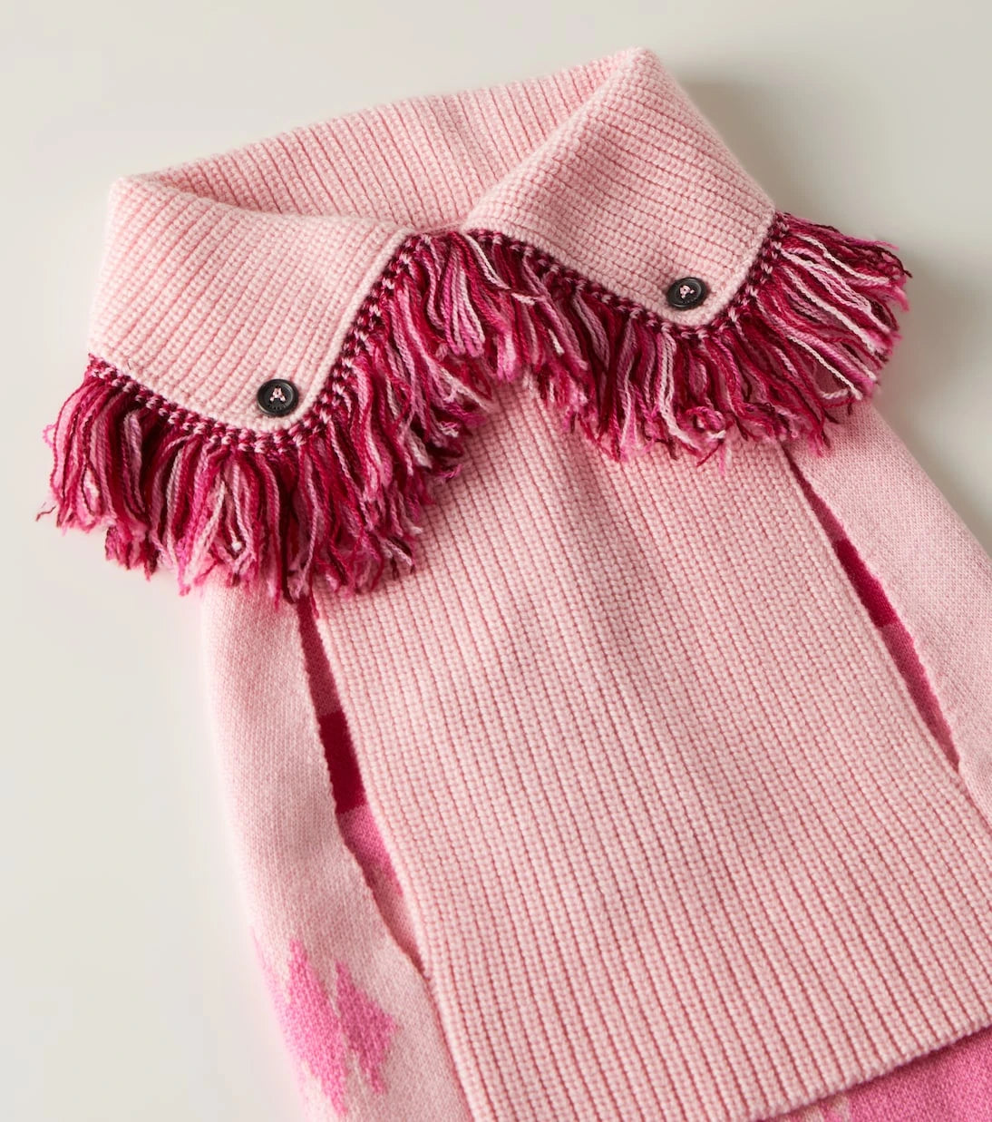 Alanui - x Poldo Dog Couture dog sweater