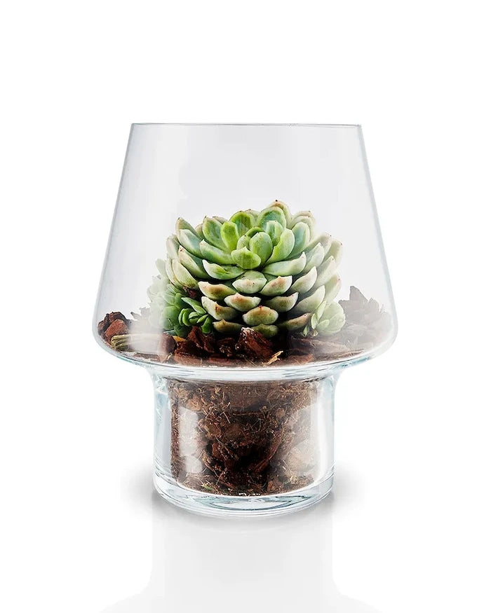 Eva Solo Succulent Dekoratif Vazo 15 cm