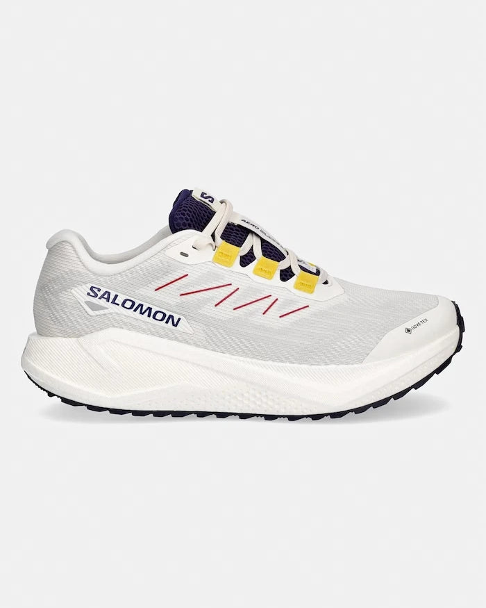 Salomon AERO BLAZE 3 Antrenman Ayakkabıları