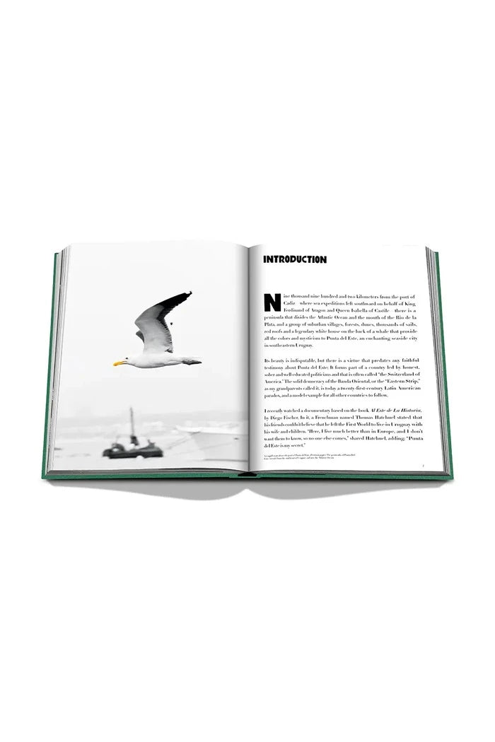 Книга Assouline Punta Del Este by Bony Bullrich, English
