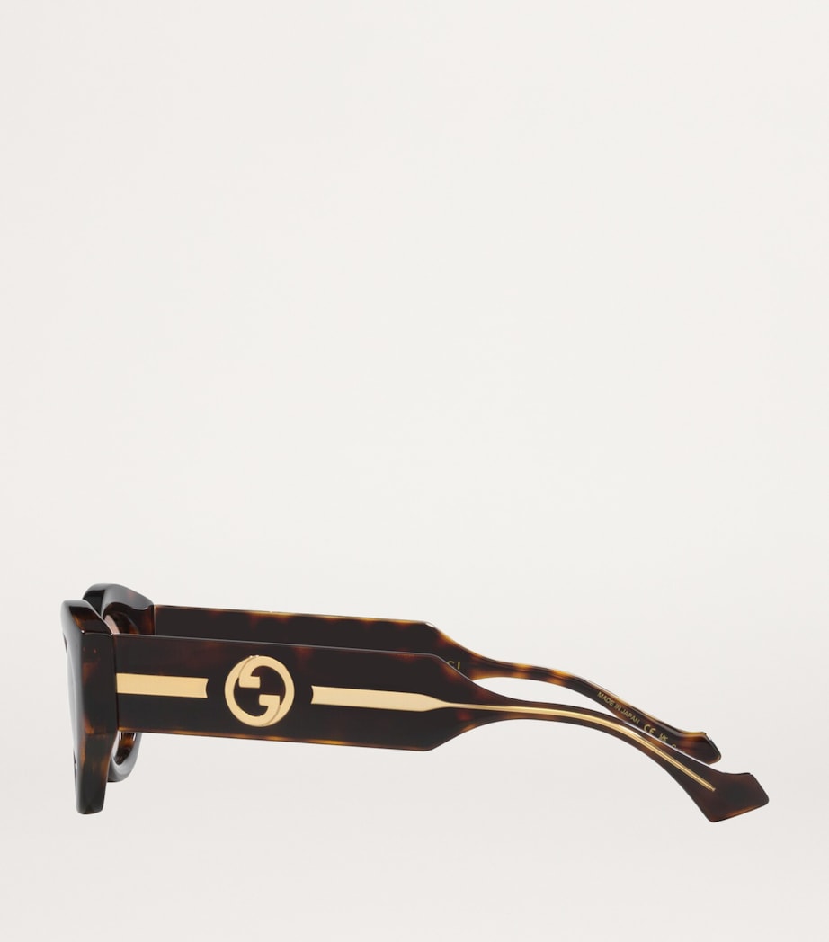 Brown Injected Oval Sunglasses