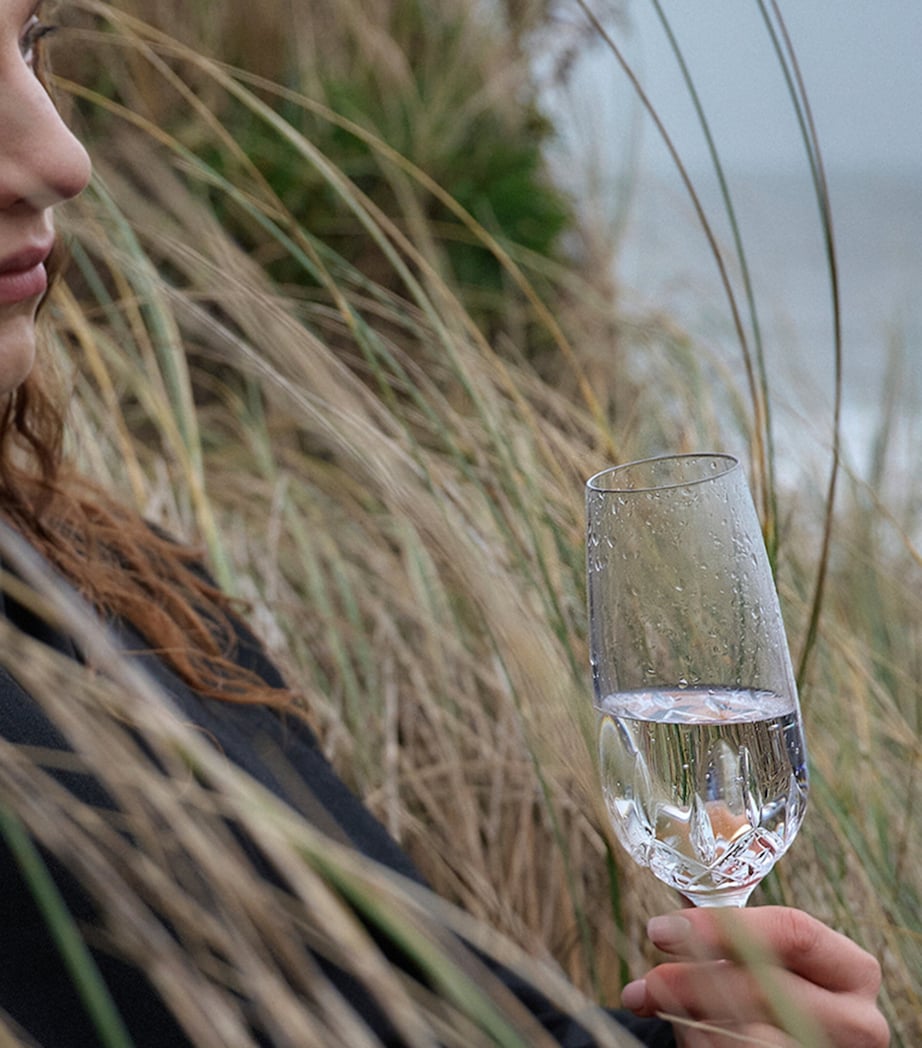 Set of 2 Lismore Essence Champagne Flutes (336ml)