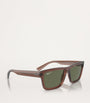 Ray-Ban Brown Acetate 0RB4396 Sunglasses