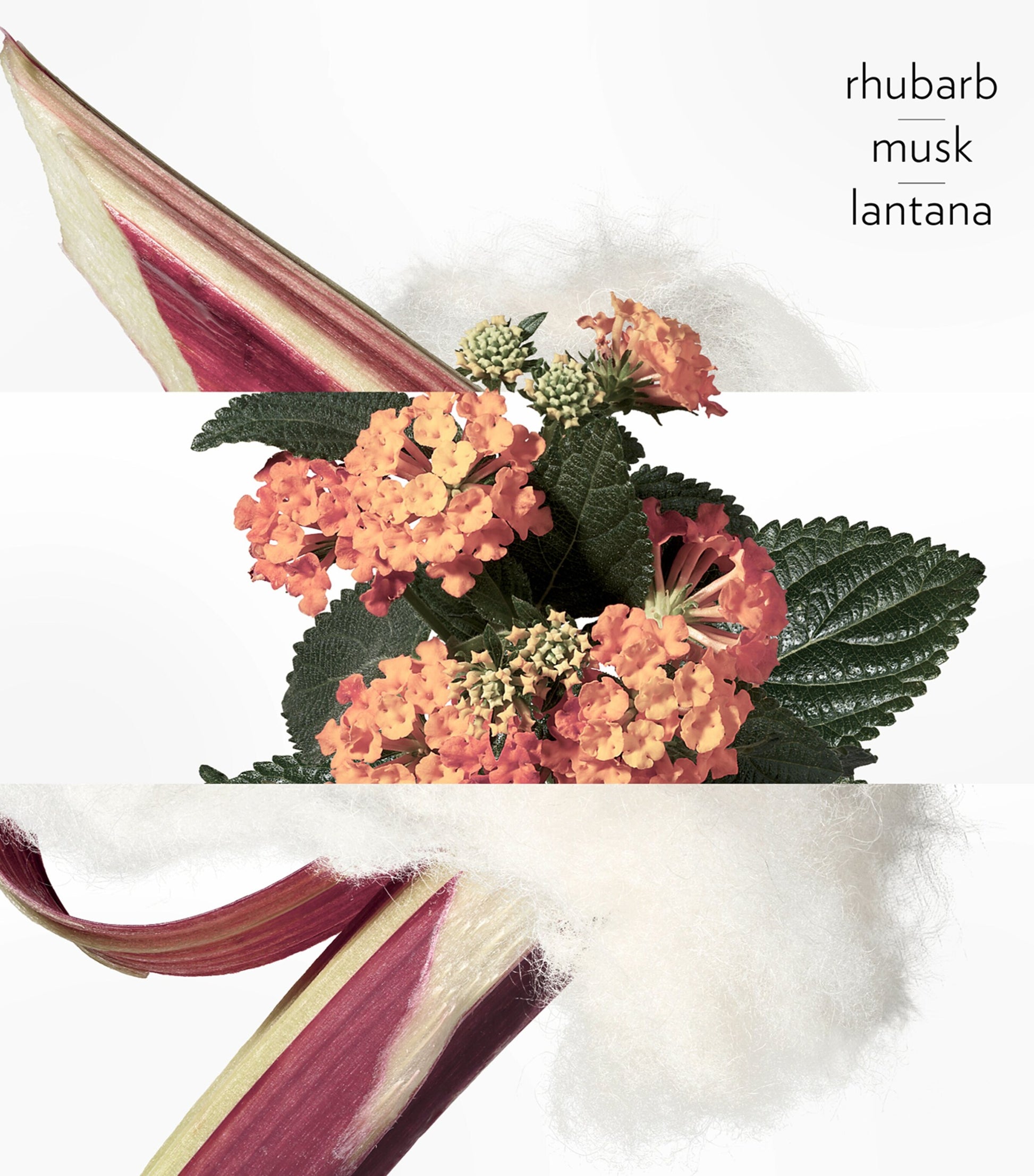 HERMÈS Eau De Rhubarbe Ecarlate Eau de Cologne Refill Spray (100ml)