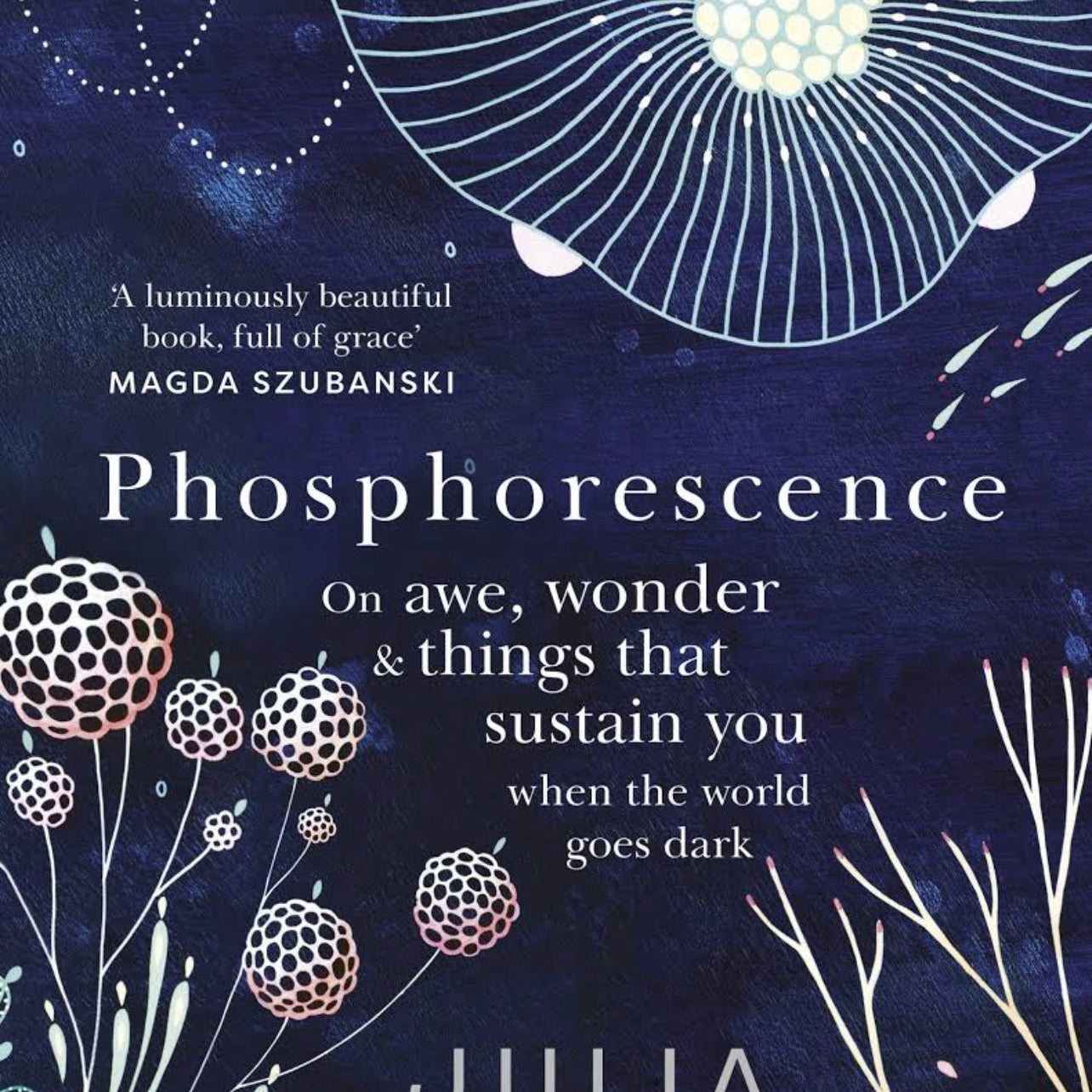 Phosphorescence: A Memoir of Finding Joy When Your World Goes Dark