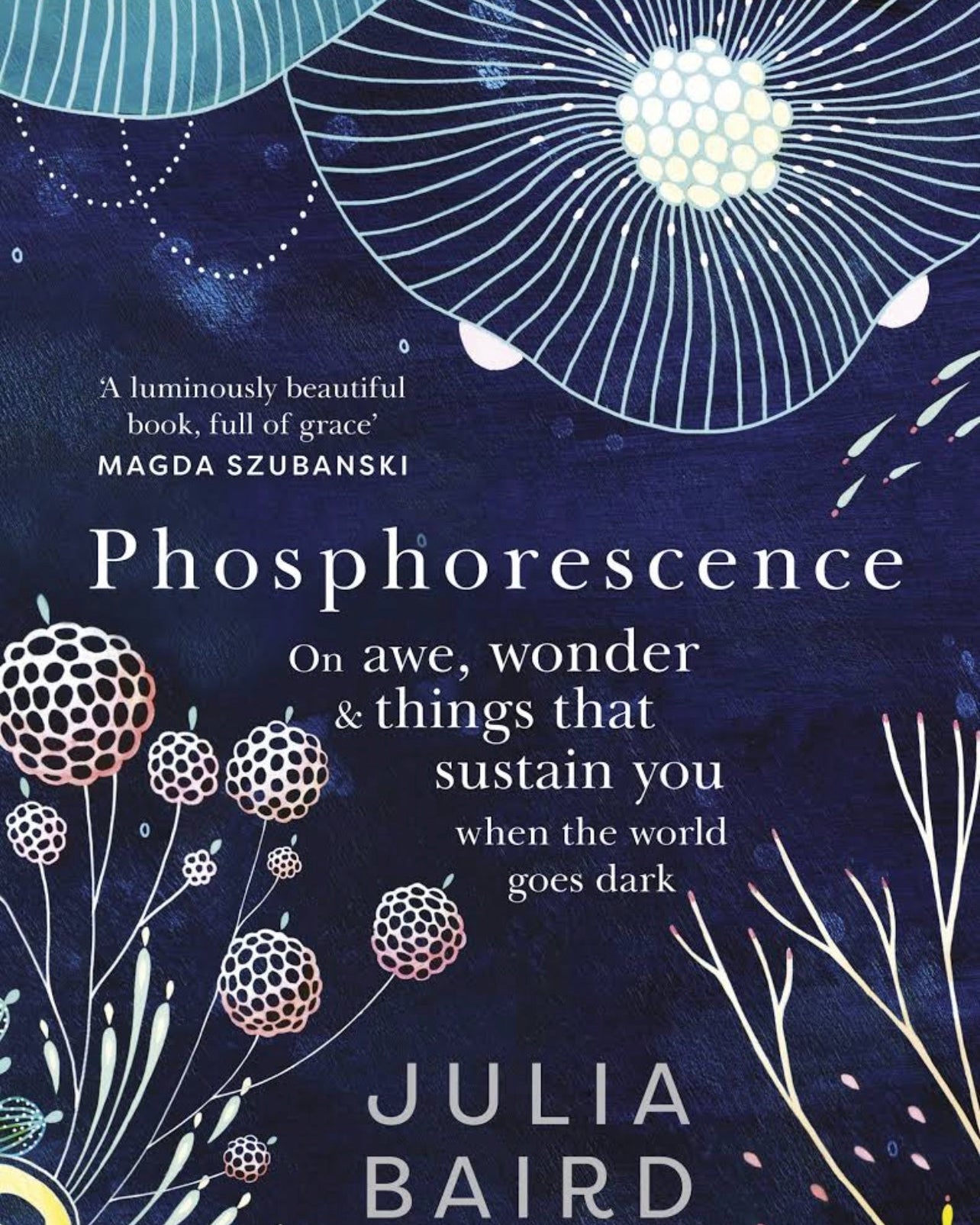Phosphorescence: A Memoir of Finding Joy When Your World Goes Dark