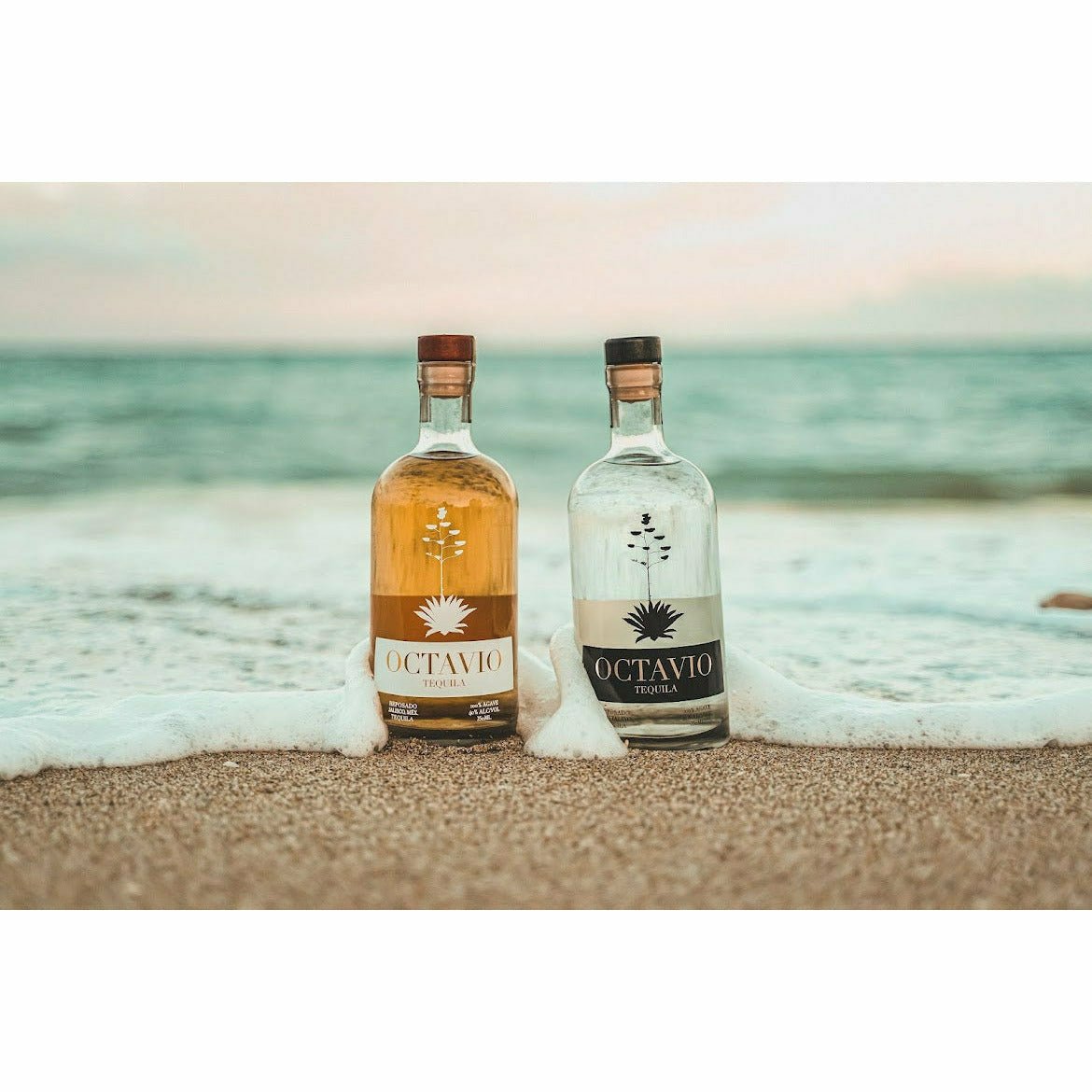 Octavio Tequila Combo Pack (2 x 750 ml)