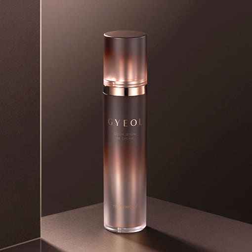 TONYMOLY Gyeol Goun Serum BB Cream 50g