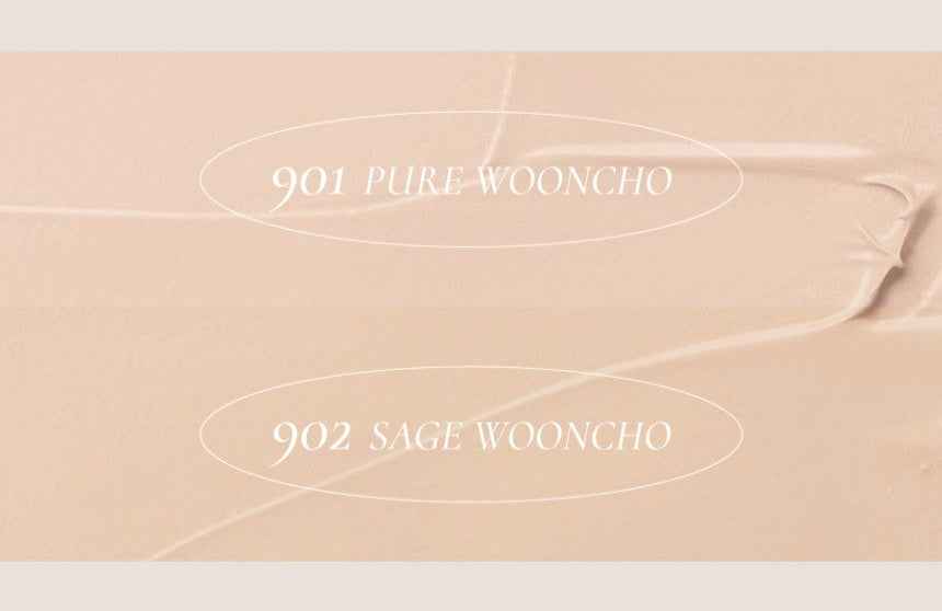 Dinto Blur-Finish Cushion 12g