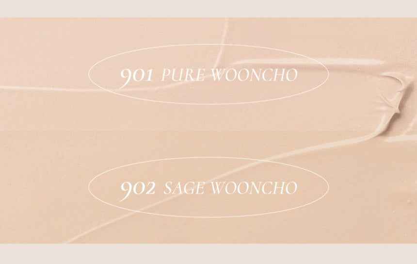 Dinto Blur-Finish Cushion Refills