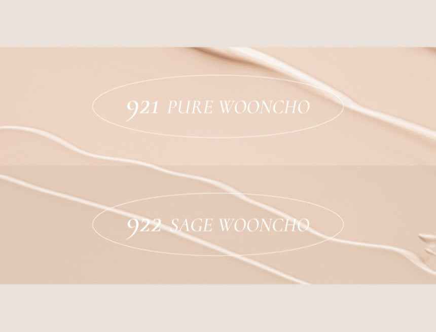 Dinto Wooncho Blur-Matte Foundation 25ml