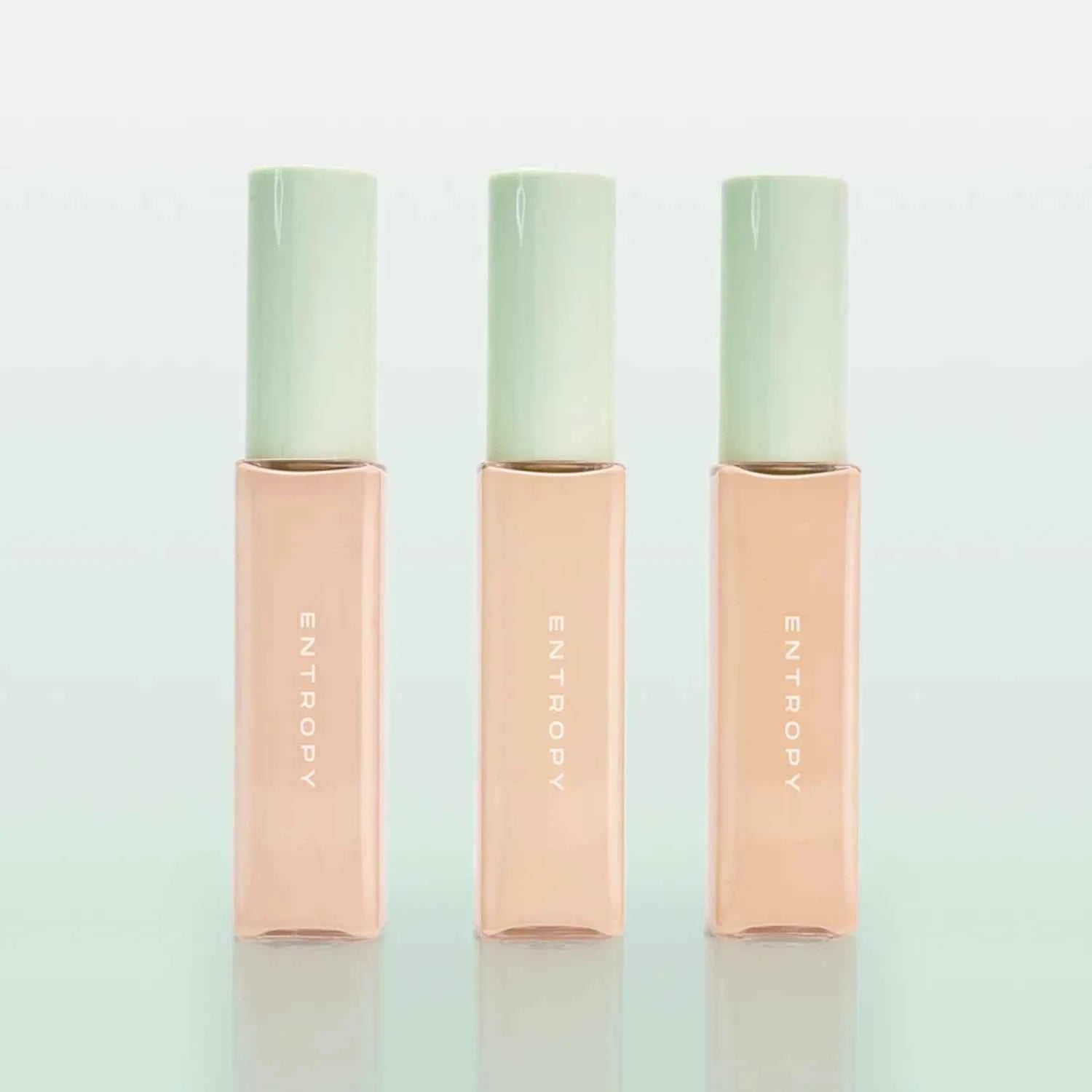 ENTROPY Organza Fit Spatula Foundation 40g