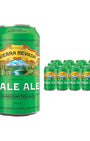 Sierra Nevada Pale Ale Can Multipack, 12 x 355 ml