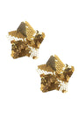 Sequin Star Pasties