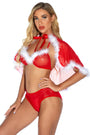 Baby It's Cold Sexy Christmas Bra Set